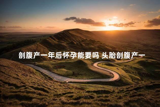 剖腹产一年后怀孕能要吗 头胎剖腹产一年怀孕了能要吗